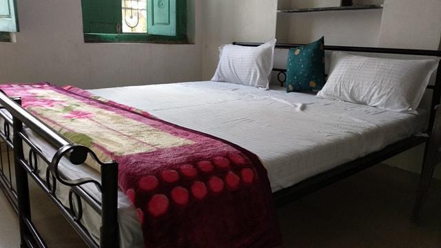 Bagol Palace Udaipur Bagian luar foto